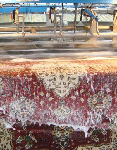 Professional rug cleaning at plant Toronto