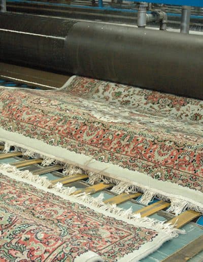Rug and lose carpet cleaning at plant
