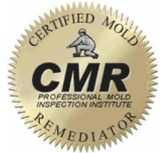 Certified Mold remediator