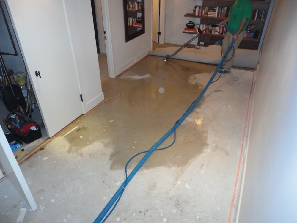 Water damage signs and issues can be hidden behind walls or under carpets like this picture.