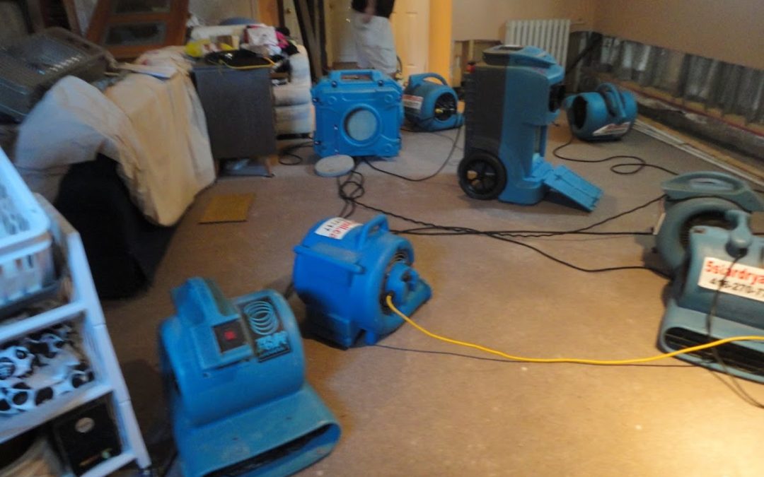 How do Dehumidifiers and Air movers works in water damage?