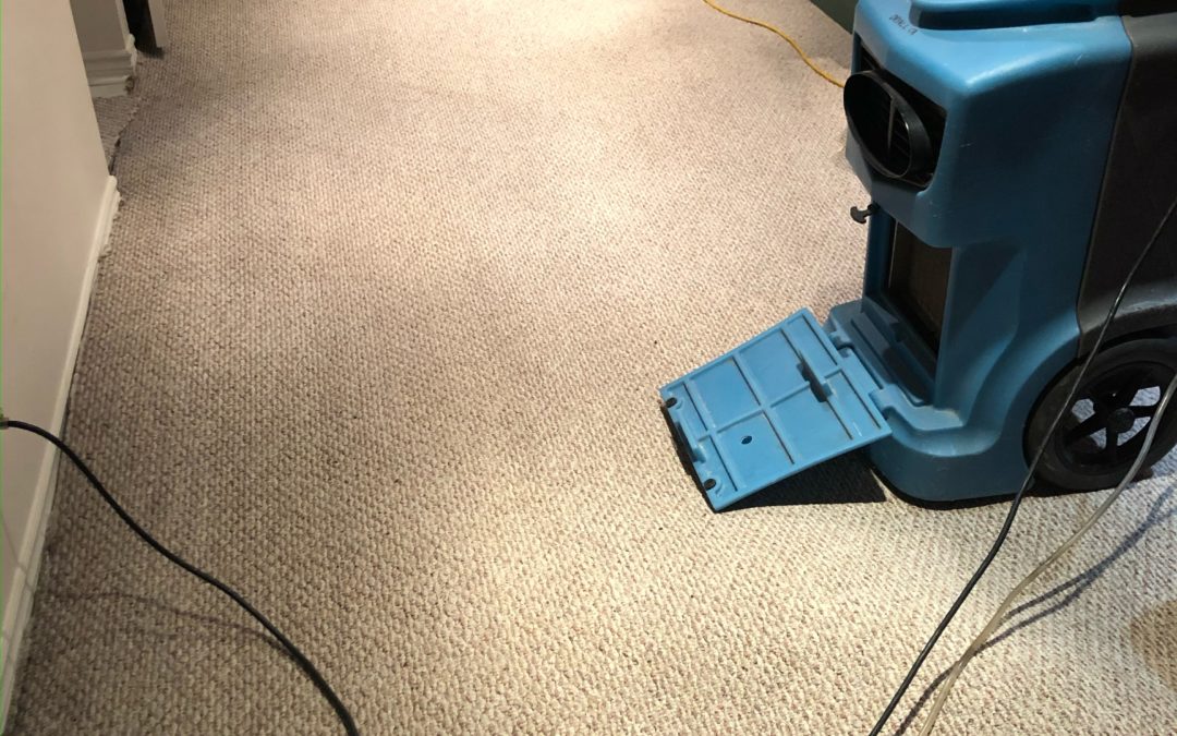 How Water damage affects the carpeted areas