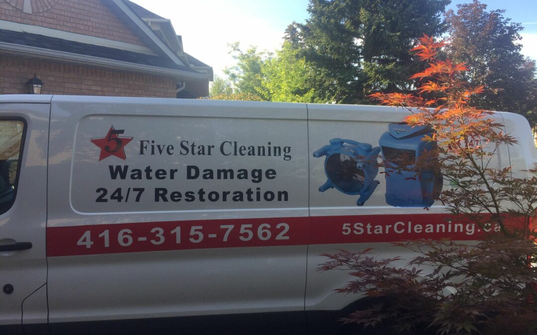 Water Damage Services For Sewage Back Up