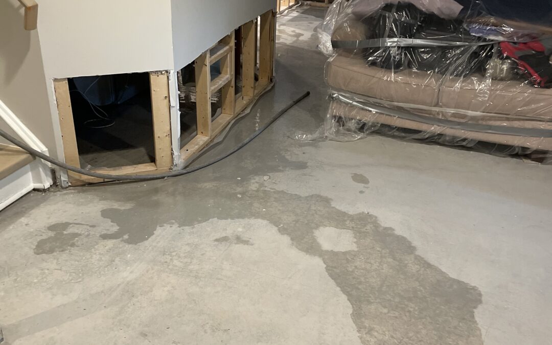 How to Dry Carpet in Basement After a Flood?